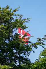 danish flag on the wind with tree