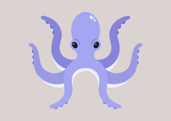 An isolated octopus with purple tentacles, wild life, ocean and sea