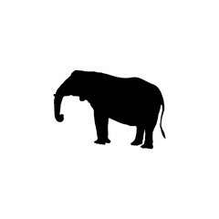 Elephant icon. Simple style safari travel agency big sale poster background symbol. brand logo design element. t-shirt printing. vector for sticker.