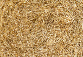 Hay texture. Hay bales are stacked in large stacks. Harvesting in agriculture.