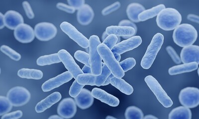 Probiotics, Various probiotic bacteria such as: Lactobacillus, Bifidobacteria, Enterococcus, Streptococcus thermophilus, Firmicutes...