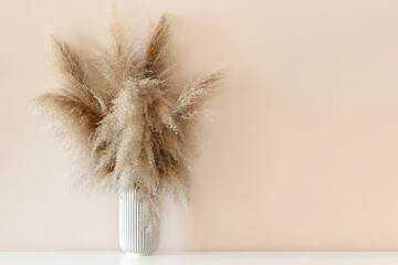 pampas bouquet. Dried flowers. Bouquet of dried flowers. Pampas in a Vase
