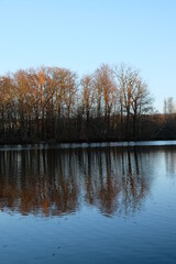 Fototapeta na wymiar FU 2021-11-27 Gierath 40 Auf der Wasseroberfläche des Sees spiegelt sich der Wald