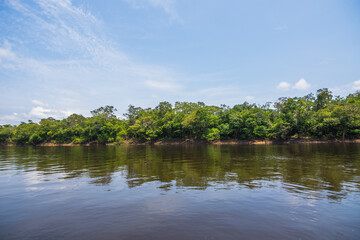 Obraz premium Beautiful landscape of the Amazon Rainforest - Amazonas, Brazil