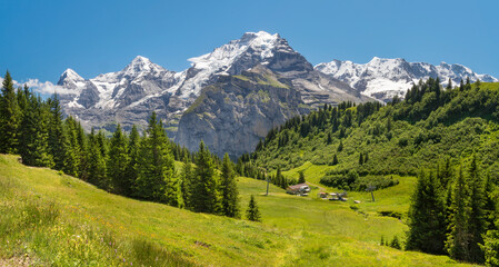 Fototapeta na wymiar The panorama of Hineres Lauterbrunnental valley with the peaks Eiger, Monch, Jungfrau, Gletscherhorn, Ebenfluh, Mittaghorn and Grosshorn.