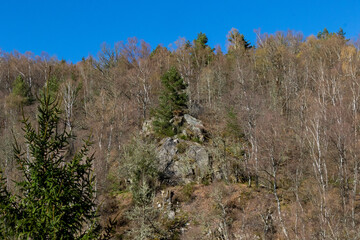 Fototapeta na wymiar Granite outcrop in winter forest, Millevaches, France