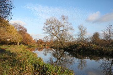Winter reflections on the River Wey in Guildford on a cold sunny day.