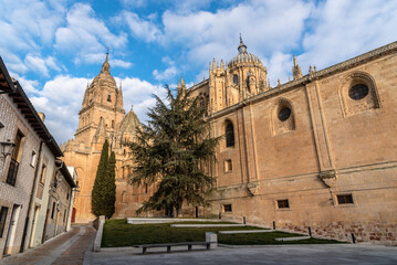 Naklejka premium Scenic view of the Cathedral of Salamanca. Castilla Leon, Spain.