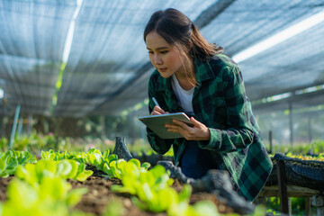 Young woman smart farmer or agronomist, using tablet checking quality, with organic farm fresh...