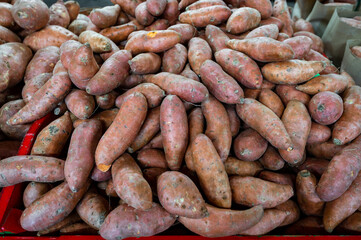Fototapeta premium Farmers Market Brown Sweet Potatoes