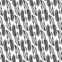 Seamless pattern with wheat isolated on white background