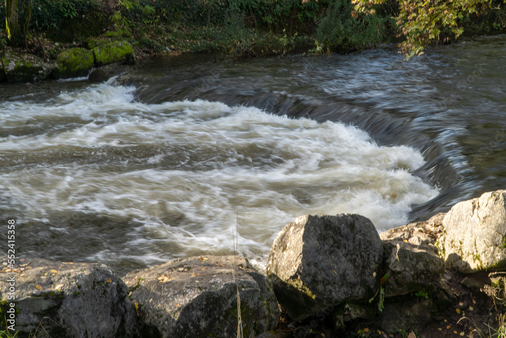 Wall mural river in the forest