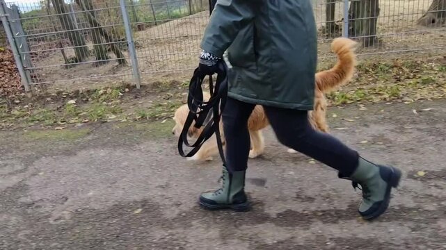 Frau geht mit Hund drau&szlig;en spazieren 
