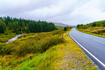 Naklejka premium Trees and stream landscape, in the Isle of Skye