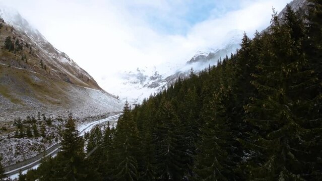 First snow on the mountain. Fir forest on the snow-covered mountain. Early winter season on the mountain. Aerial view with FPV drone flying among the fir trees in the forest. Snowflakes fall.