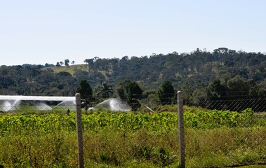 Fototapeta premium agricultura irrigada no sul do Brasil