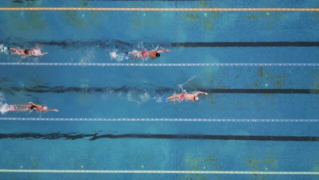 group of swimmers training in an outdoor pool top view