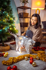 Beautiful Asian girl decorating Christmas tree in her livingroom
