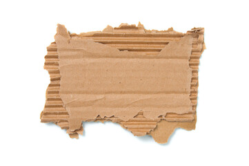 Cardboard corrugated piece with ripped edge on white background