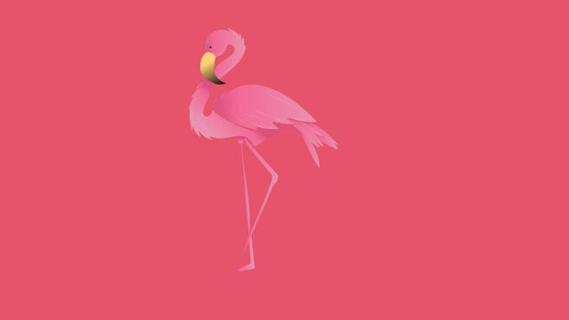 Animation of flamingo over blue abstract pattern on pink background