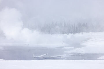 Scenic Snow Covered Landscape in Yellowstone National Park Wyoming in Winter