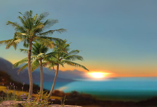 tropical orange sunset on blue sea wild trees and flowers beautiful  nature landscape