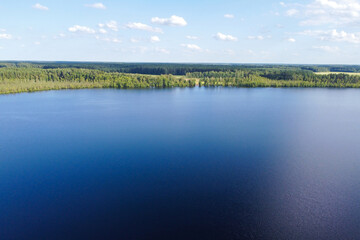 Lake water and green forest trees, aerial view. Summer landscape, beautiful nature, sunny day