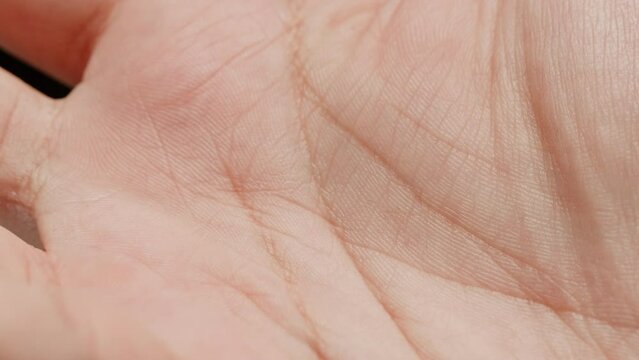 Human hand with lines, Palm reading, foretelling the future through the study of the palm, close up macro