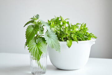 Fresh mint and melissa leaves in white bowl, medicinal herbs. Green curly mint and fresh melissa plant