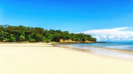Trees on tropical beach under blue sky.