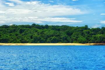 Fototapeta premium Trees on tropical beach under blue sky.