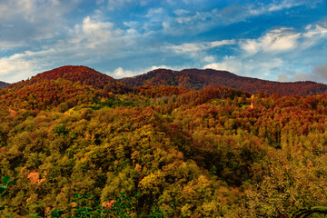 High mountains under a blue cloudy sky. Beautiful mountain landscape in autumn. Autumn view of the mountains. Mountain autumn landscape with colorful forest.