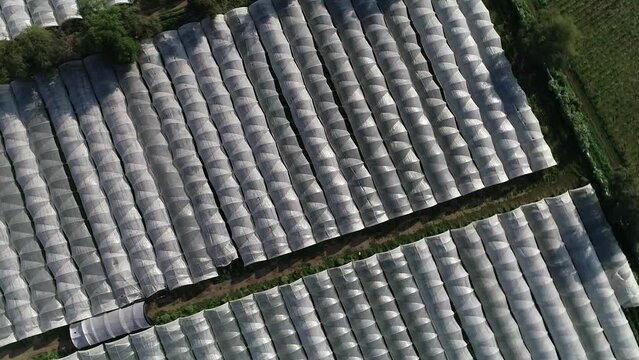 roof tiles on the roof