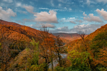 Mountain autumn landscape with colorful forest and river. Trees with bright yellow-red foliage on the rocks. Autumn view of the river flowing between the mountains.