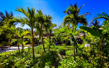 Resorts and tropical nature landscape view Holbox Mexico.