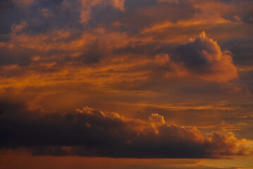 Sky at sunset. Clouds.