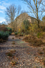 View of a forest with shrubs and deciduous trees on a mountain in Andalusia (Spain) on a cold winter morning