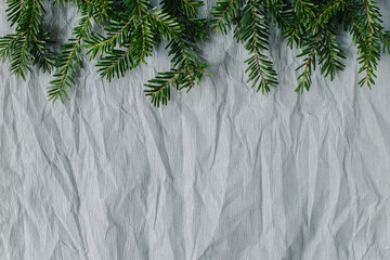 Fresh spruce branches on a grey craft paper background.