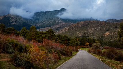 La barranca