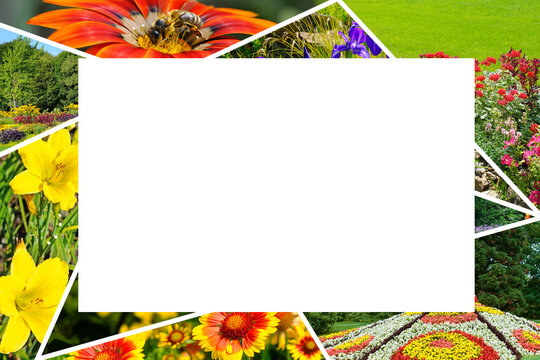Bright collage of photos of flowers and flowerbeds. Collage. Frame with empty space for text.