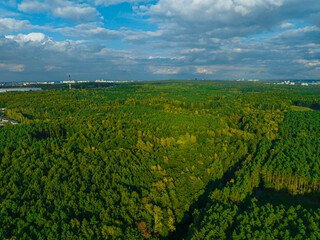 Fototapeta na wymiar A view from the air on huge areas of the forest. Forest landscape concept, big forest. Environmental protection, care for nature.