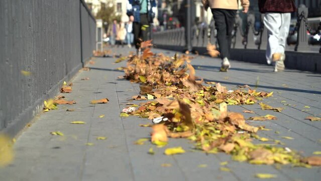 Yellowed autumn leaves from trees fallen on pavement covered with tiles in sunny windy weather closeup. Populous city street with feet of pedestrians walking next to road and hurrying to work