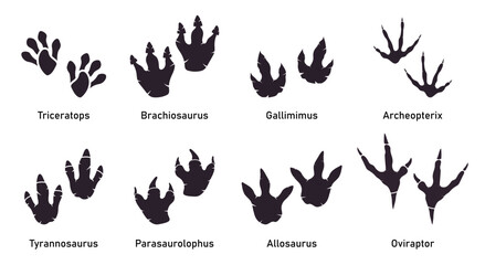 Silhoutte dinosaur footprint vector set. Paleontology, history vintage. Paleontology dinosaur traces illustration.