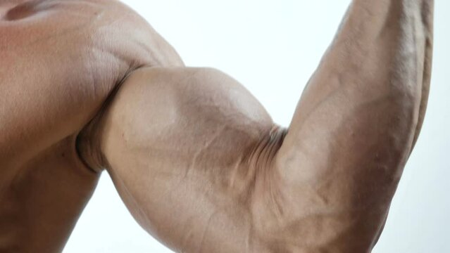 Muscular bodybuilder man shirtless in studio