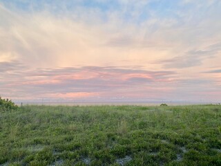 sunset over the field
