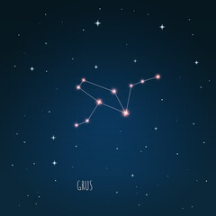 Constellation Grus scheme in starry sky. Open space. Vector illustration Grus constellation through a telescope. © iryna