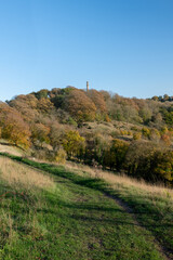 Fototapeta na wymiar Landscape photo of the autumn colours around the Admiral Hood Monument in Somerset