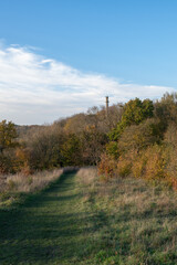 Landscape photo of the autumn colours around the 
 Admiral Hood Monument in Somerset