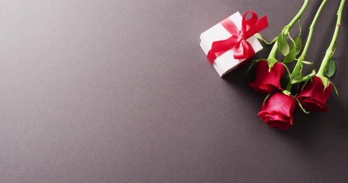 Video of red rose flower stems and gift box on dark grey background with copy space