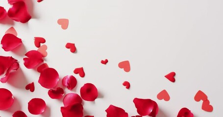 Video of red rose petals and red heart confetti on white background with copy space - Powered by Adobe